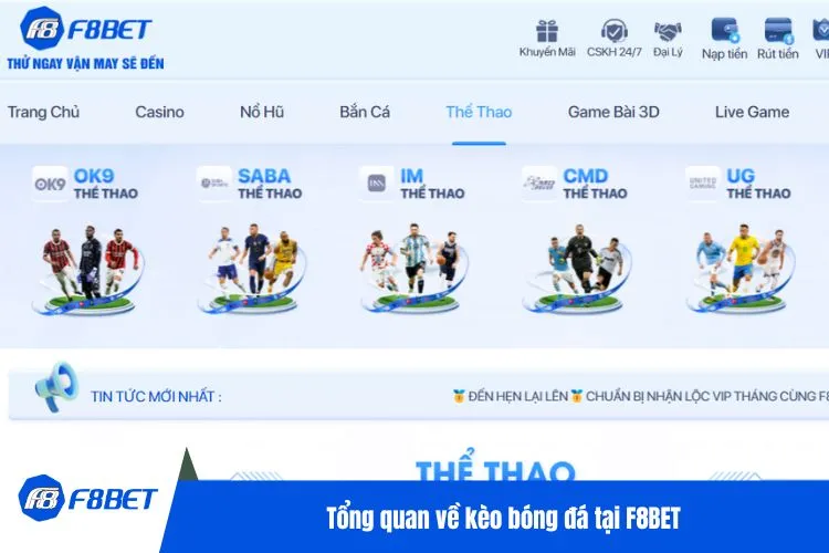 Tổng quan về kèo bóng đá tại F8BET