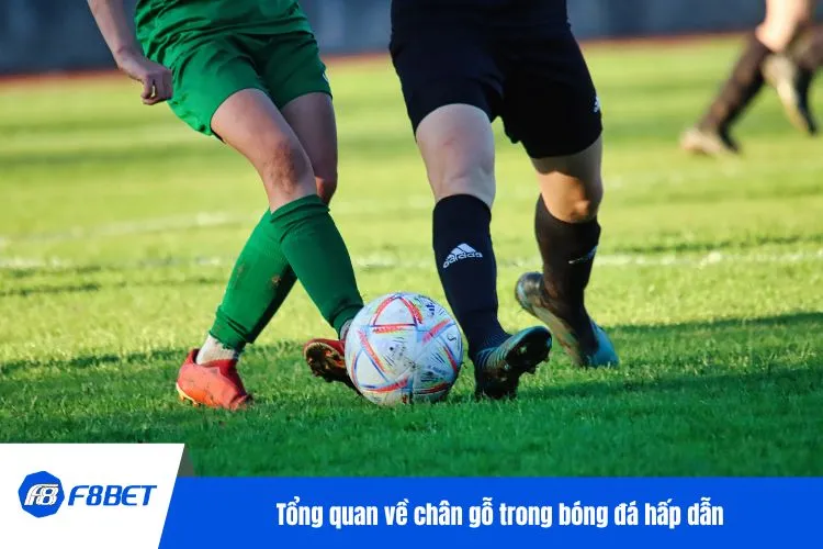 Tổng quan về chân gỗ trong bóng đá hấp dẫn