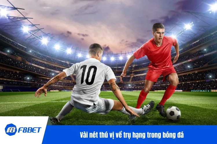 Vài nét thú vị về trụ hạng trong bóng đá