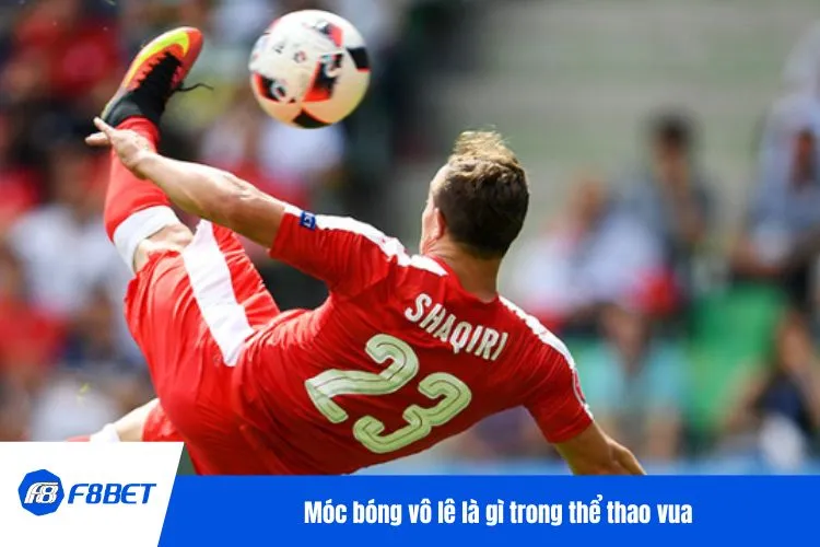 Móc bóng vô lê là gì trong thể thao vua