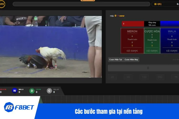 Các bước tham gia tại nền tảng