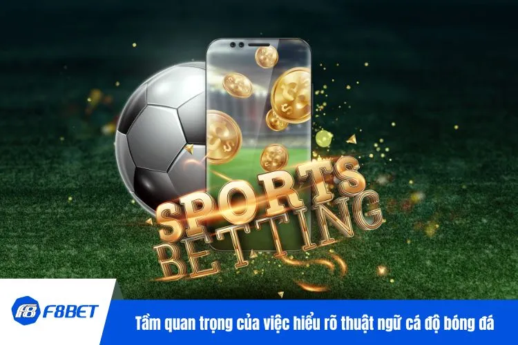 Tầm quan trọng của việc hiểu rõ thuật ngữ cá độ bóng đá