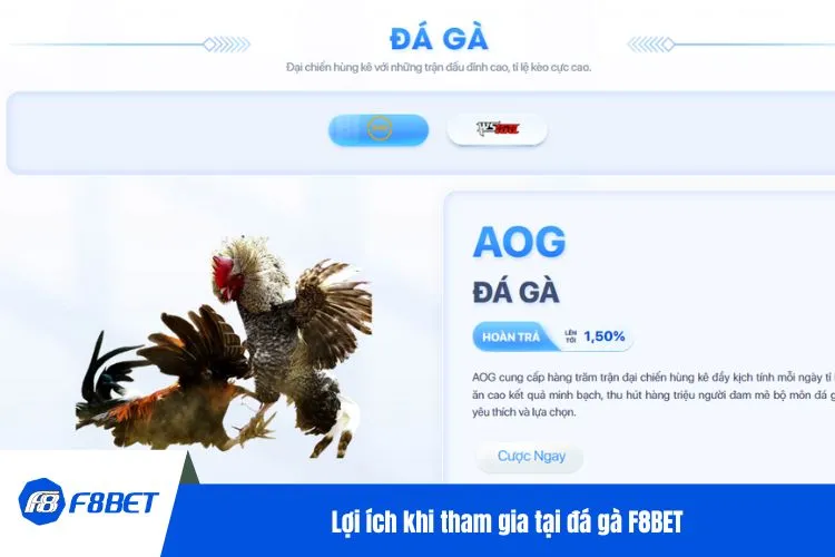 Lợi ích khi tham gia tại đá gà F8BET