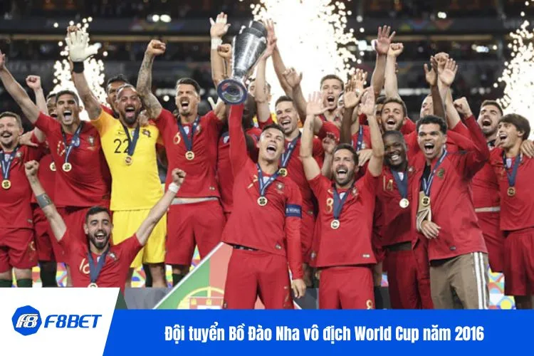 Đội tuyển Bồ Đào Nha vô địch World Cup năm 2016